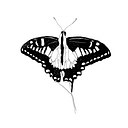 Stuart's Butterflies logo