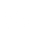 Student Tribe logo
