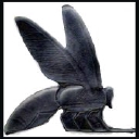 Studio Bee