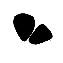 Studio NAN INC. logo