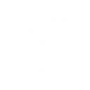Study Net Education Consultant logo