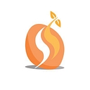 Studyseed Cic logo