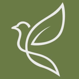 St Vincent Care Homes Ltd logo