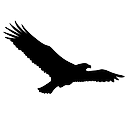 Suazo Business Center logo