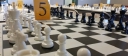 Success Chess School logo
