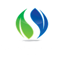 Successful Channels logo