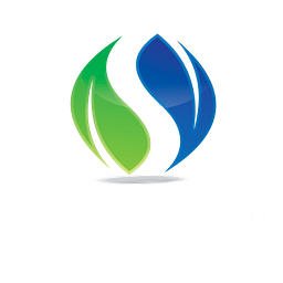 Successful Channels logo