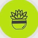 Succulent Studios logo