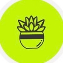 Succulent Studios logo