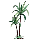 Sugarland Healthcare