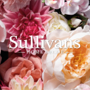 Sullivans Home Decor logo