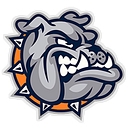 Summerfield Schools logo
