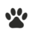 Summerfields Animal Hospital