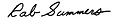 Summers Taylor, Inc logo