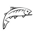 Sunburst Trout Farms logo