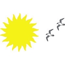 Suncoast Clinical Research logo