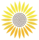 Sunflower Medical Group logo