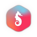 Logo for sunnycoclothing.com