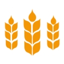 Sunny Crunch Foods Ltd logo