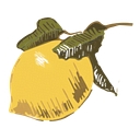 Sunnyfields Cabinetry logo