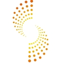 Sunpin Solar logo