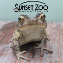 Sunset Zoological Park logo