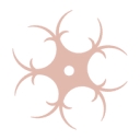 Favicon of Sunshine Weddings