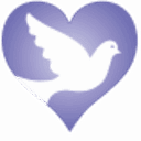 Superior Hospice logo