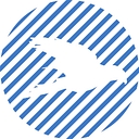 Supervision Earth logo
