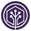 Favicon of Sure IT LLC