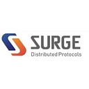 Surge Erp Consulting logo