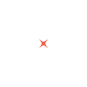 The Surplus Line Association of Arizona logo