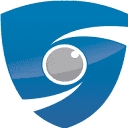 Surveillance International, Llc logo