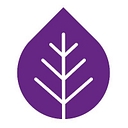 Survivors' Network logo
