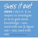 Suss Consulting Inc