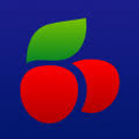 Silicon Valley Campaign for Legal Services logo