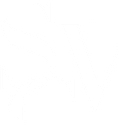 School Of Visual Concepts logo