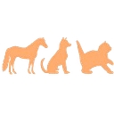 Svenska Veterinärgruppen Holding AB logo
