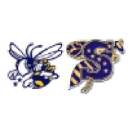 Stephenville Isd logo