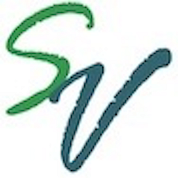 Silicon Valley Tech Source, Inc. logo