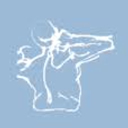 Swanner Physical Therapy logo