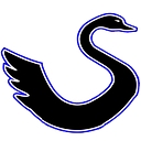 SWAN Denver