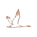 Swan Valley Medical, Incorporated logo