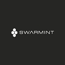 Swarmint LLC