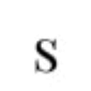 Southwest Chicago Homeless Services logo
