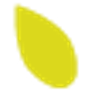 SWEET GRASS COMMUNITY FOUNDATION logo