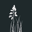 Sweetgrass Properties logo