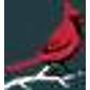 Stanley W Ekstrom Foundation Inc logo