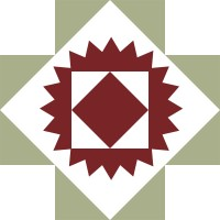 Southwest Health System logo