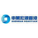 SHENWAN HONGYUAN SINGAPORE PRIVATE LIMITED logo